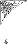 Spider Web