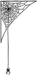 Description: Spider Web